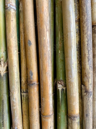 bamboo  texture  wood  wall  nature  plant  pattern  tree  asia  brown  tropical  natural  fence  yellow  cane  green  stick  forest  garden  stem  old  abstract  material  japan  decoration