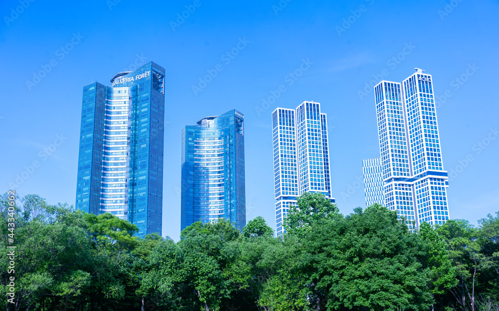 Fototapeta premium city skyline