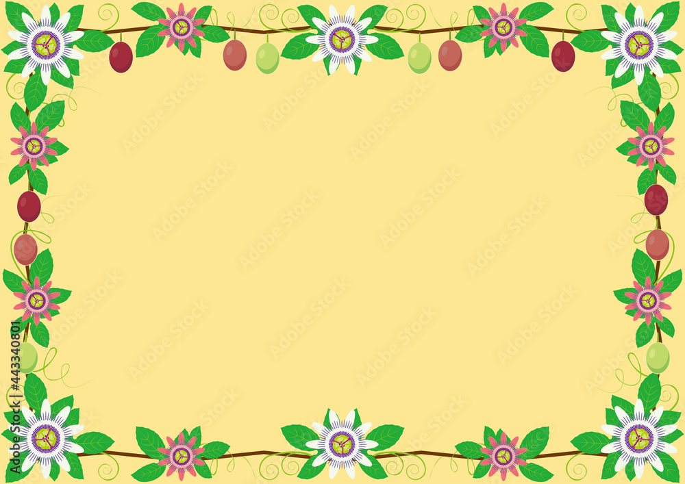 Passion Flower, Passion Fruits Border Frame Background Passion Flower, Passion Fruits Border Frame Background