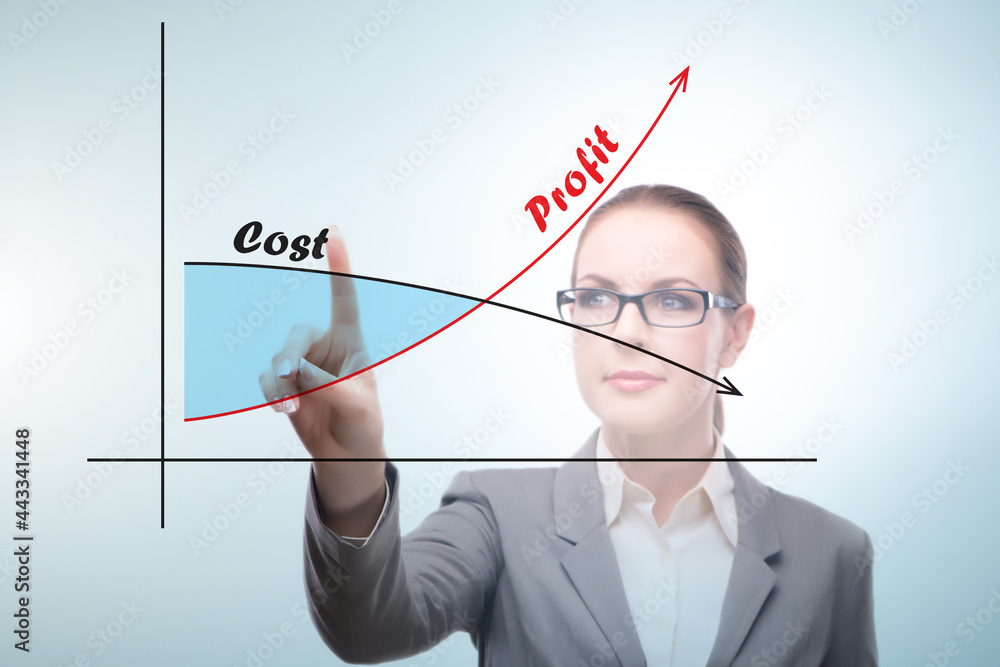 Concept of proft and loss with businesswoman Concept of proft and loss with businesswoman