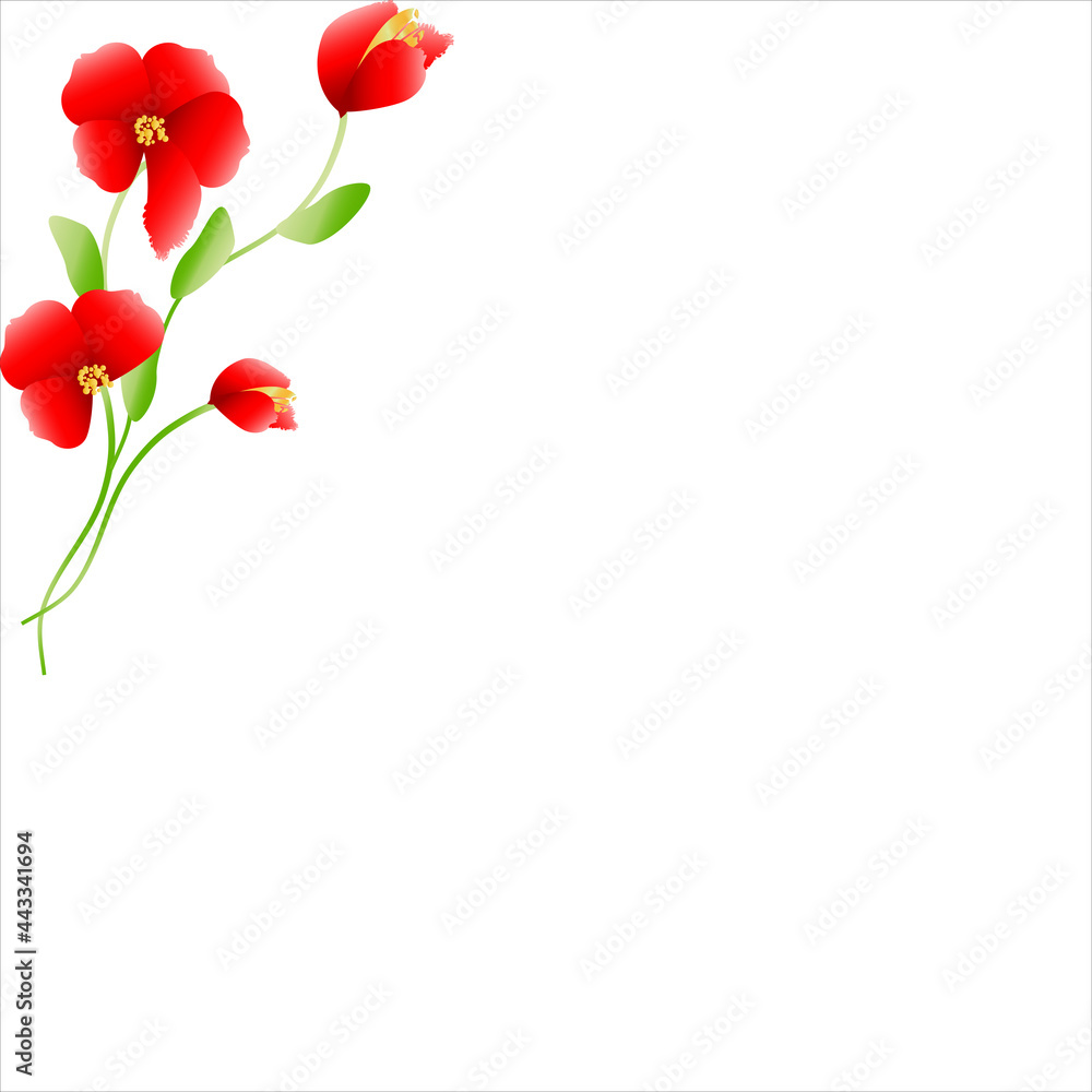 beautiful flowers beautiful flowers