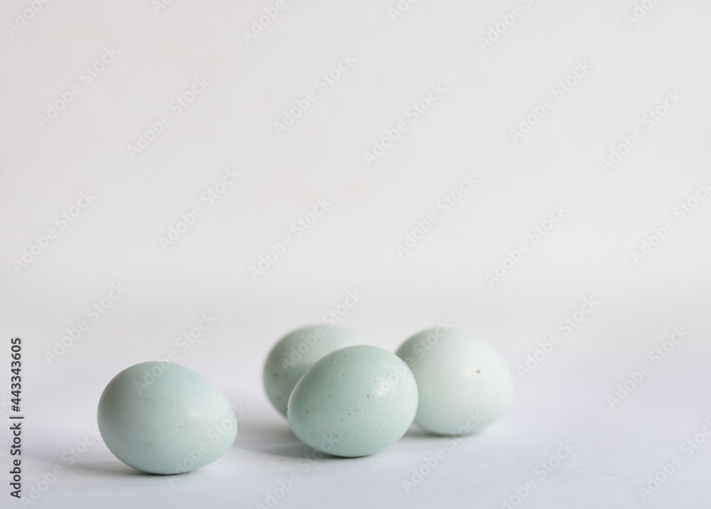 quail eggs on white quail eggs on white