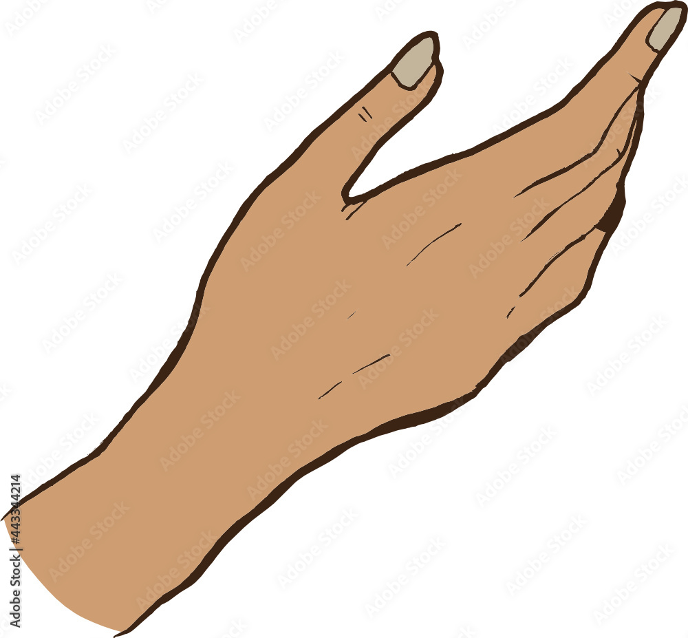 woman hand gesture. Hand-drawn Vector Illustration woman hand gesture. Hand-drawn Vector Illustration