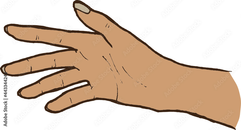 woman hand gesture. Hand-drawn Vector Illustration woman hand gesture. Hand-drawn Vector Illustration