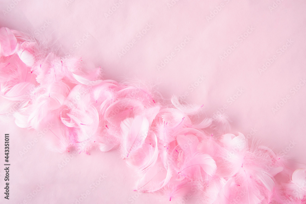 ピンクの紙とピンクの羽根の背景