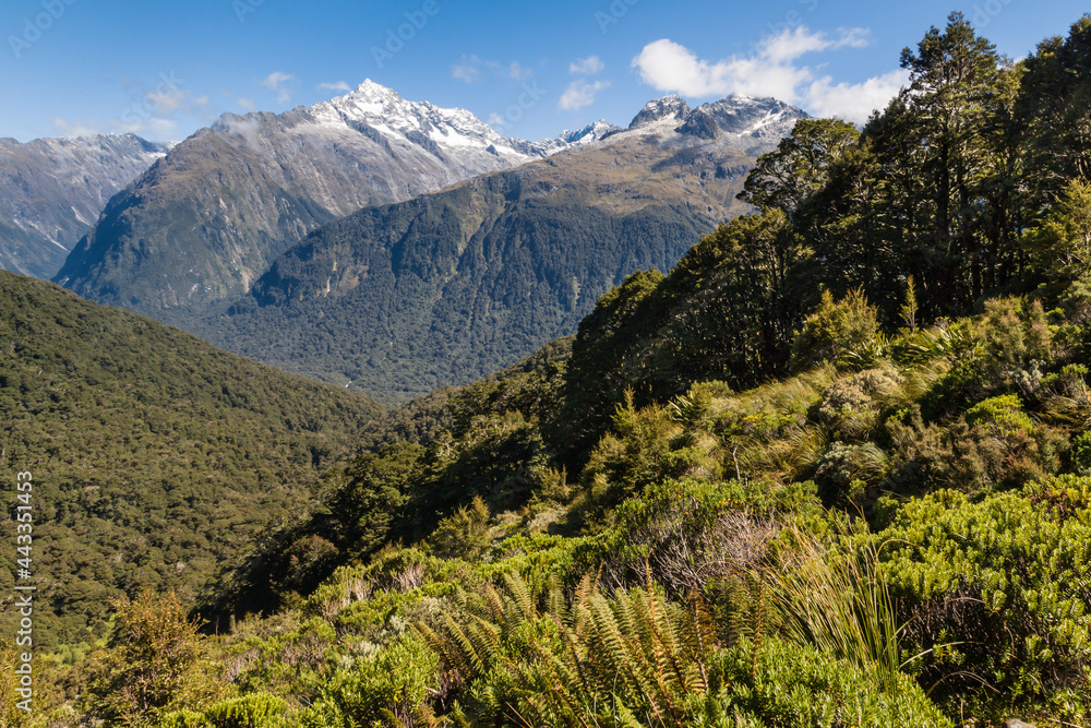 view of Darran Mountains from the Routeburn Track in Fiordland National Park, South Island, New Zealand