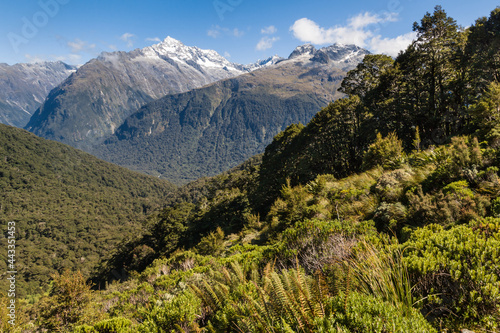 view of Darran Mountains from the Routeburn Track in Fiordland National Park, South Island, New Zealand