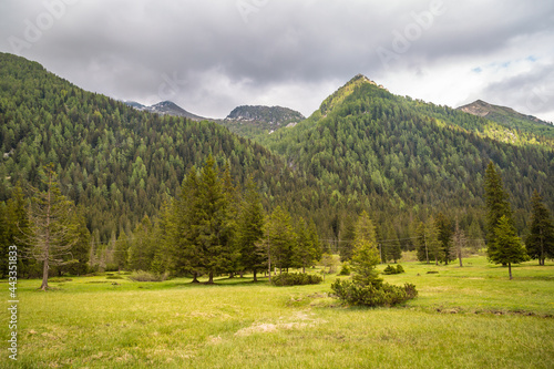 natural landscape with green mountain peaks in summer