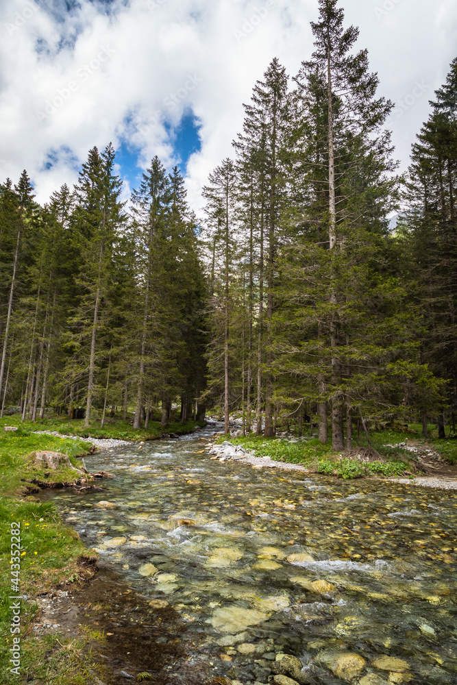 natural landscape with green mountain peaks in summer natural landscape with green mountain peaks in summer