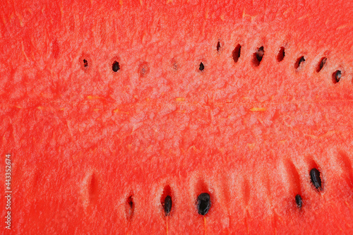 Watermelon texture and background. 
