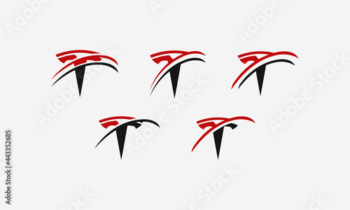 Letter Logo Design T