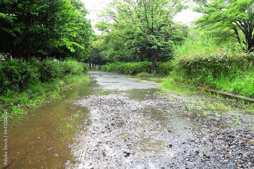 Fototapeta premium 夏の雨の砂利道のある誰もいない公園風景