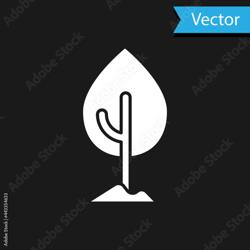 White Tree icon isolated on black background. Forest symbol. Vector