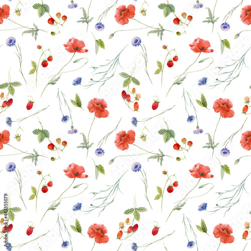 Beautiful seamless floral pattern with hand drawn watercolor gentle wild field flowers cornflower poppy. Stock illuistration.