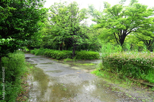 雨の砂利道のある誰もいない公園風景