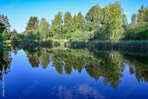 trees mirroring in calm water in Sweden