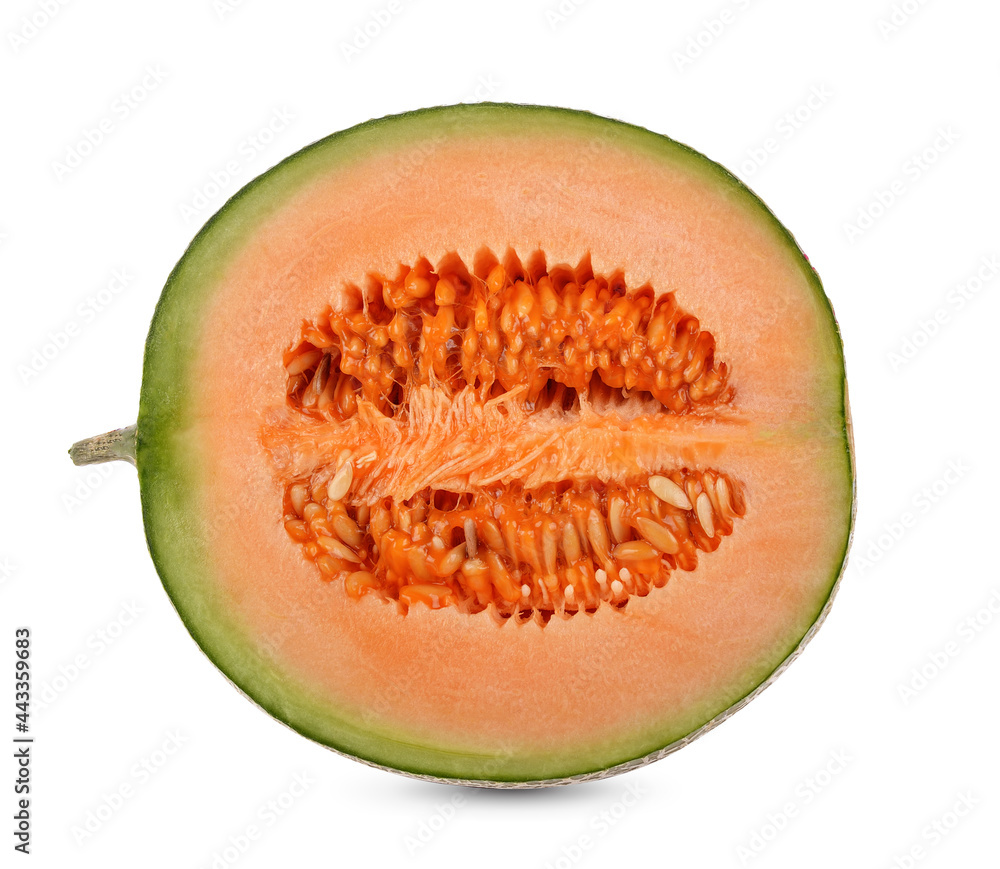 cantaloupe melon isolated on the white background cantaloupe melon isolated on the white background