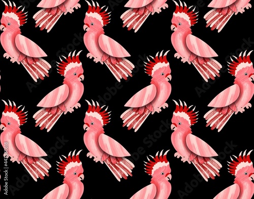 Abstract Hand Drawing Tropical Cute Parrots Seamless Pattern Isolated Background