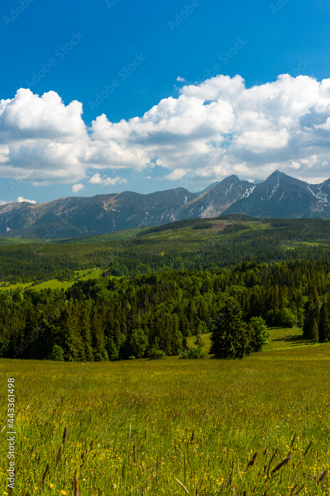 Tatra Mountains Landscape  in Summer