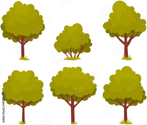 Set of deciduous tree with trunk and dense foliage. High plant with widely spread branches and green leaves. Broad-stemmed deciduous plant. Tree with green foliage isolated on white background