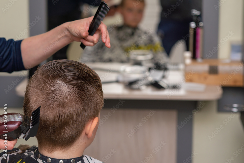 Cute boy have haircut, professional barber doing haircut. Hairdress for children.side view portrait barbershop.Back view