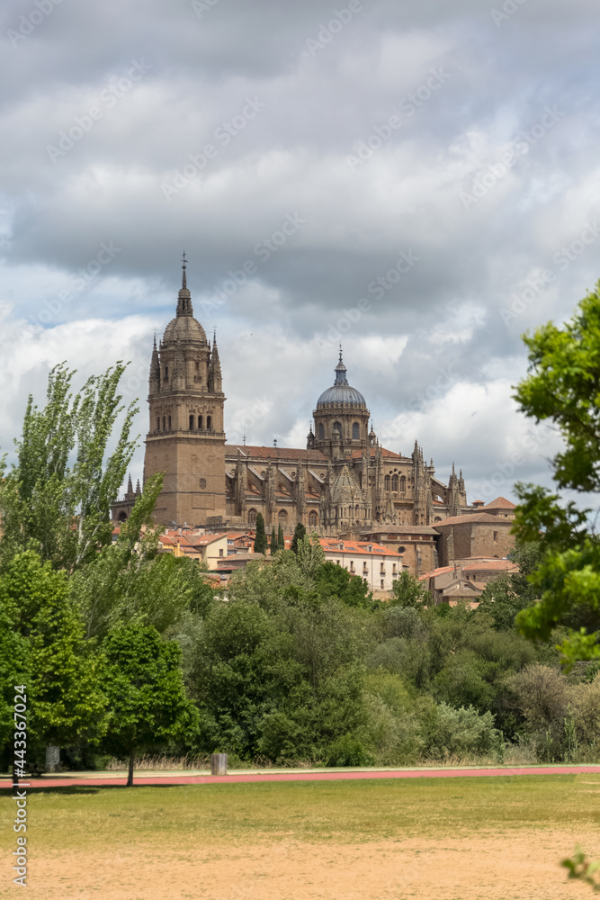 Majestic view at the gothic building at the Salamanca cathedral tower cupola dome and University of Salamanca tower cupola dome, surrounding vegetation
