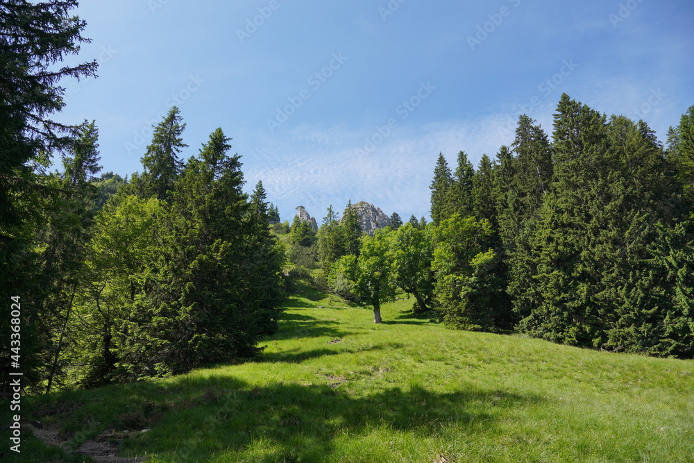 Gratwanderung zum Pürschling bei Oberammergau Gratwanderung zum Pürschling bei Oberammergau