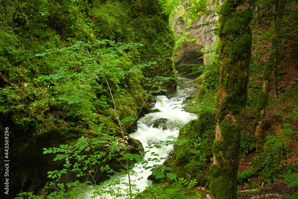 Gorges de la Langouette im französischen Jura Gorges de la Langouette im französischen Jura
