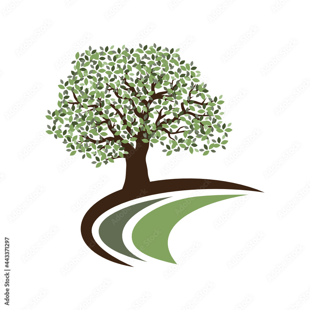 Obraz premium oak tree