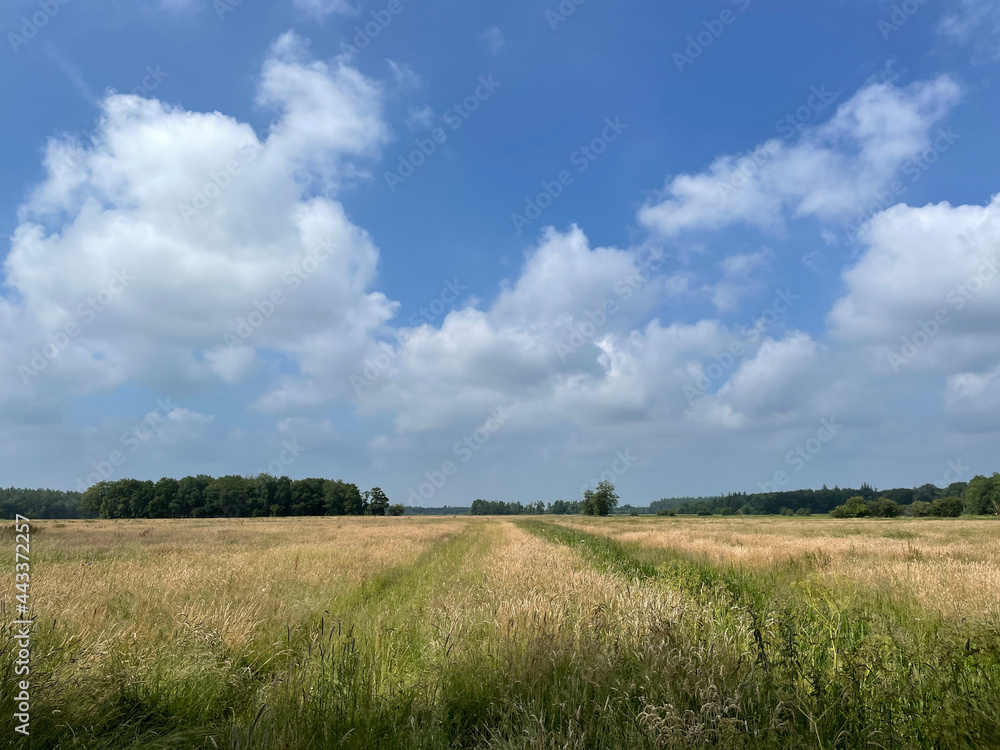 Nature reserve around Olterterp in Friesland Nature reserve around Olterterp in Friesland