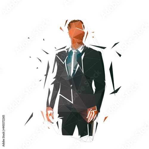 Businessman standing, abstract isolated low polygonal vector illustration, geometric drawing from triangles. Business people