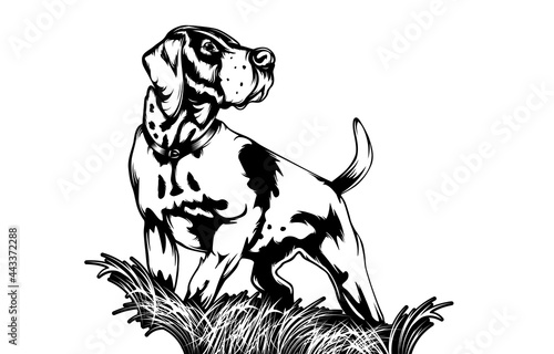 Hunting dog silhouette for retro logos, emblems, badges, labels template vintage design element.