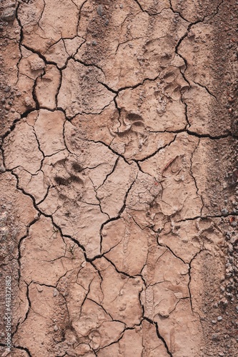 desert ground background, global warming