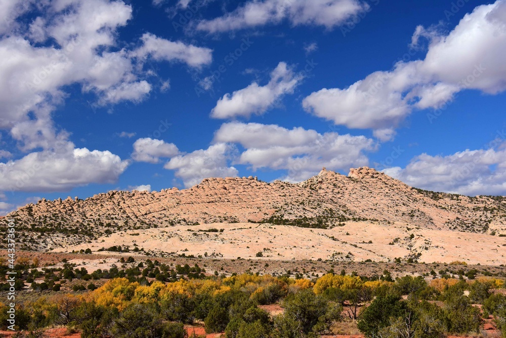 changing cottowood trees and eroded rock formations on sunny fall day along butler wash road near comb ridge, near blanding, utah changing cottowood trees and eroded rock formations on sunny fall day along butler wash road near comb ridge, near blanding, utah
