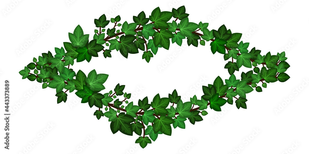 Green ivy wreath. Summer ivy climbing leaves branches, decorative  frame border. Isolated on white background. Vector illustration.