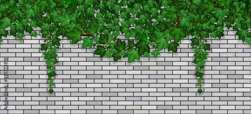 Ivy on brick wall. Climbing green ive foliage on gray brick stones, summer garland on building wall or fence. Seamless repeat pattern, cartoon background. Vector illustration.