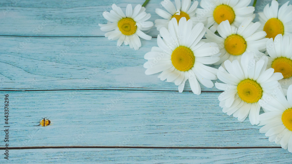 Obraz premium Bouquet of daisies on a wooden background. Image with selective focus