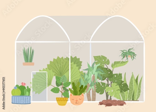 Glass greenhouse garden. Plants gardening, green tree and bushes. Succulents flower bed, botanical plantation, urban rustic jungle vector concept