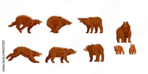 Bear in different poses. Flat vector style set of large bears on white background. Wild forest creature with brown fur. Cartoon character of big mammal animal