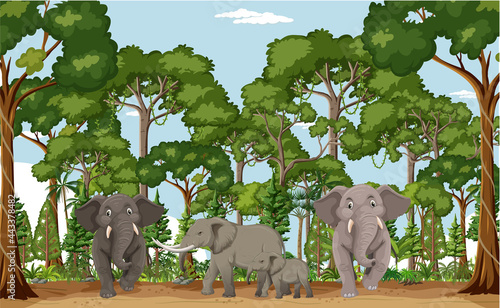 Forest or rainforest scene with tiger family