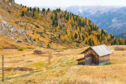 Wooden huts with dry grass in autumn forest with mountain background, beautiful colors of the trees at Dolomites national park,Italy.