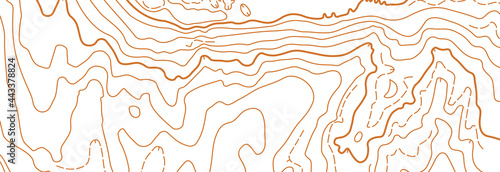 Abstract vector topographic map on white background