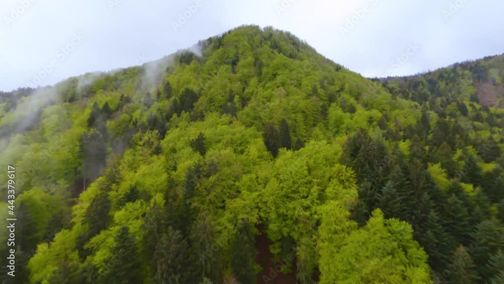 Drone flying over dense green cliffs adjacent to vast green valley. Drone flying over dense green cliffs adjacent to vast green valley.