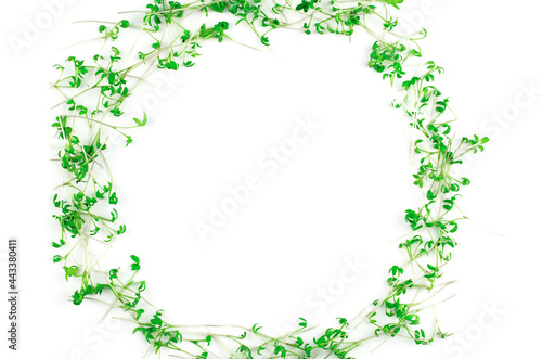 Watercress microgreens on white background, isolate. Microgreen circle with place for text. Vegan and healthy food concept