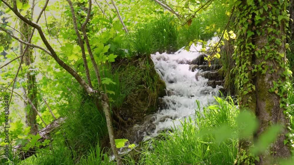 Waterfall and summer forest stream in the mountains. Mountain Creek close-up. Waterfall and summer forest stream in the mountains. Mountain Creek close-up.