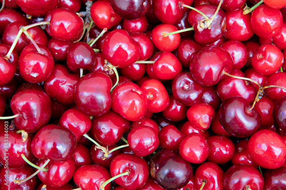 Fresh organic berries macro Fresh organic berries macro