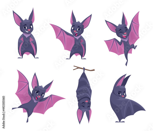 Bat. Night wild flying scary animals mouse vampire funny cute mammals with wings exact vector illustration set