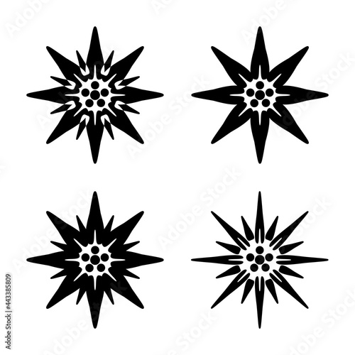 A set of black edelweiss icons. Alpine alpine flower, a symbol of many countries. 4 variants of the font. Vector illustration isolated on a white background for design and web.