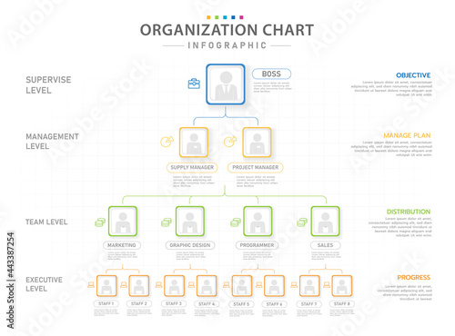 Infographic template for business. Modern Organization Chart with position, presentation vector infographic.