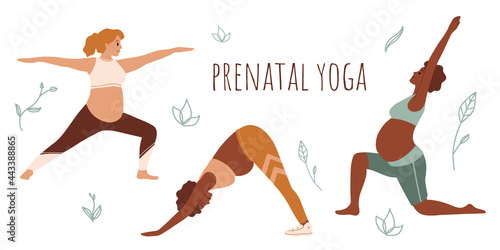 Pregnant woman doing stretching physical exercises set. Diverse women with belly practicing prenatal yoga exercise class. Pose collection, stretching in different poses, working out.